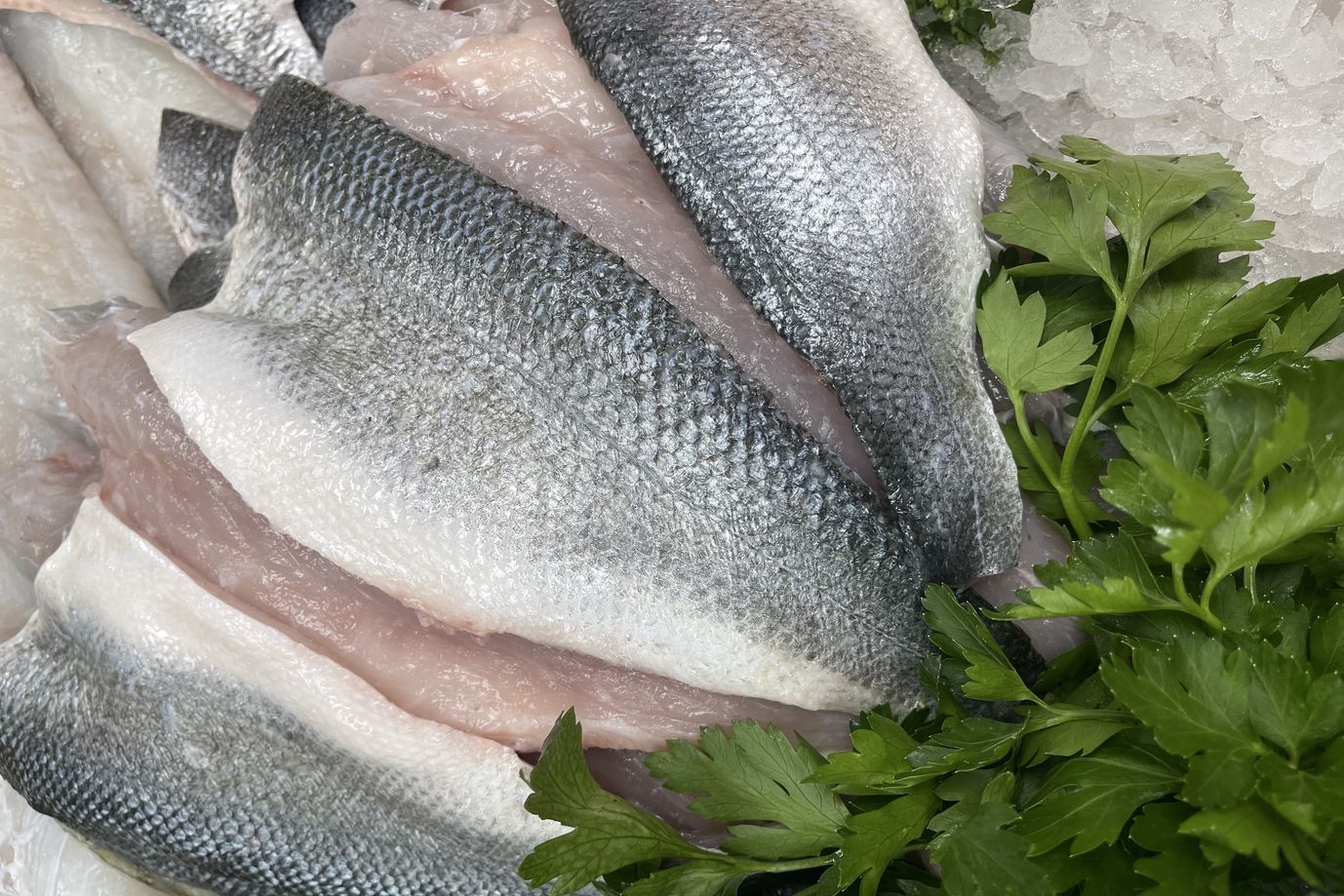 farmed bass fillets