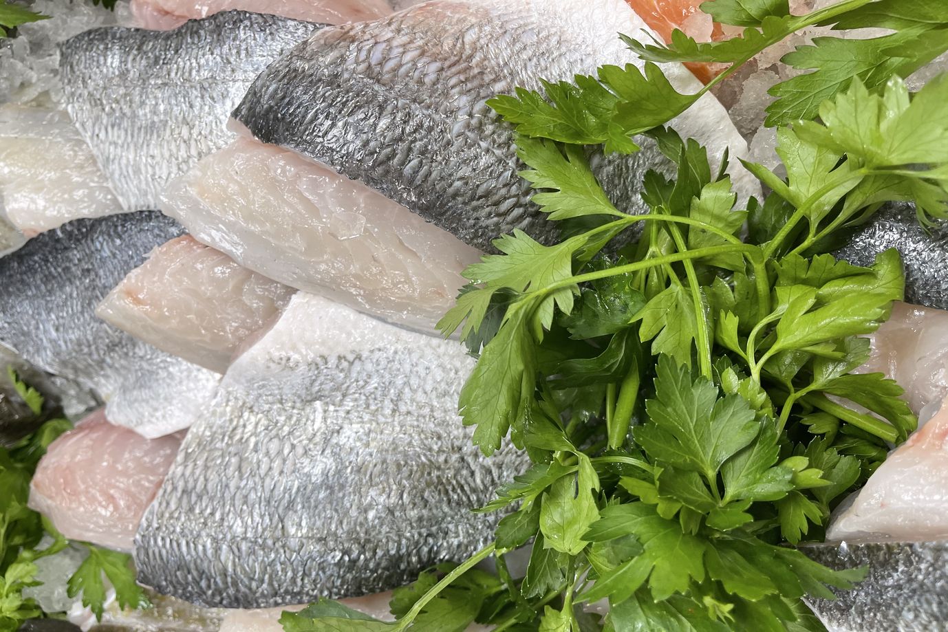 Farmed Bream fillets