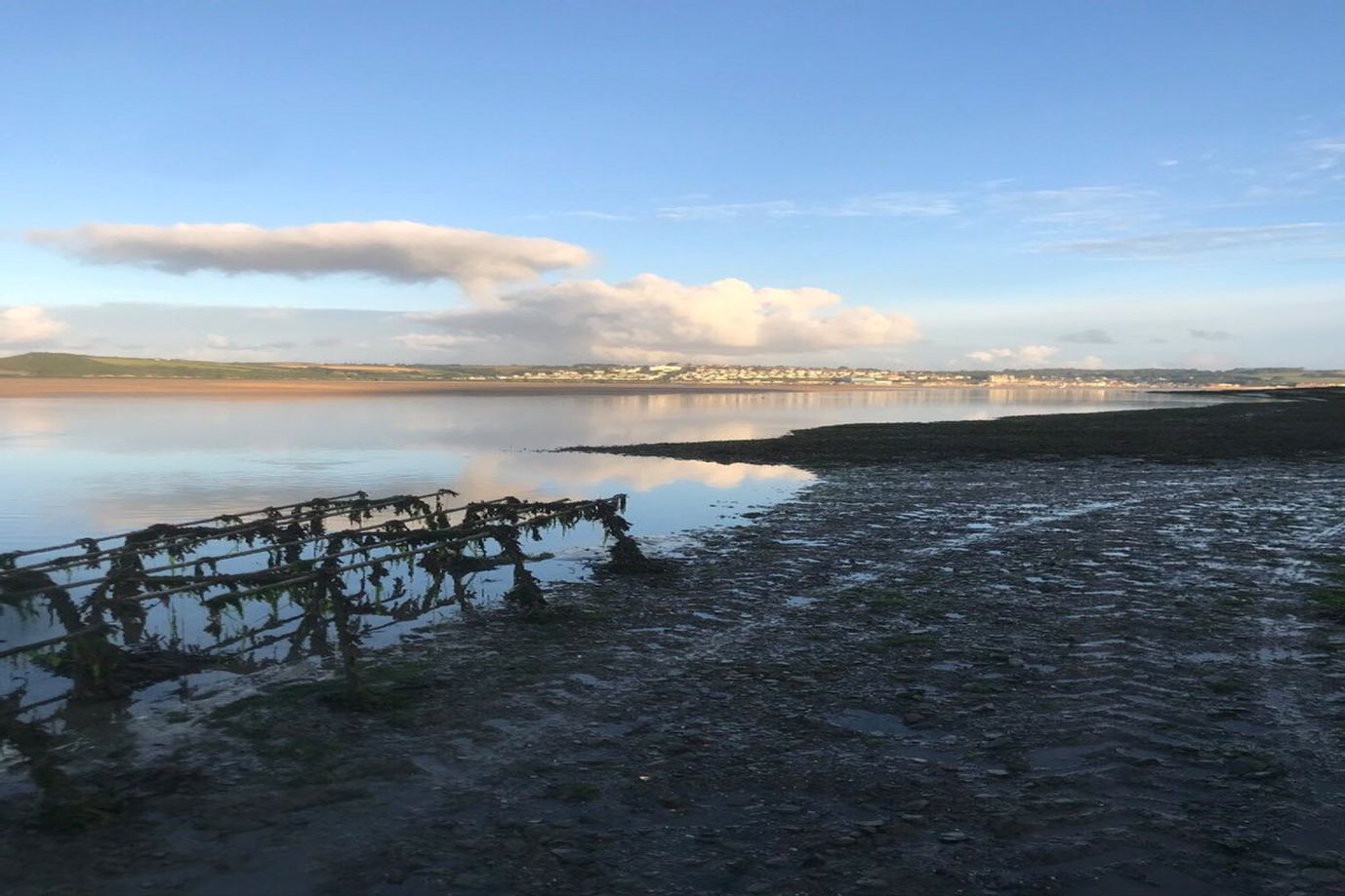 Porthilly 5