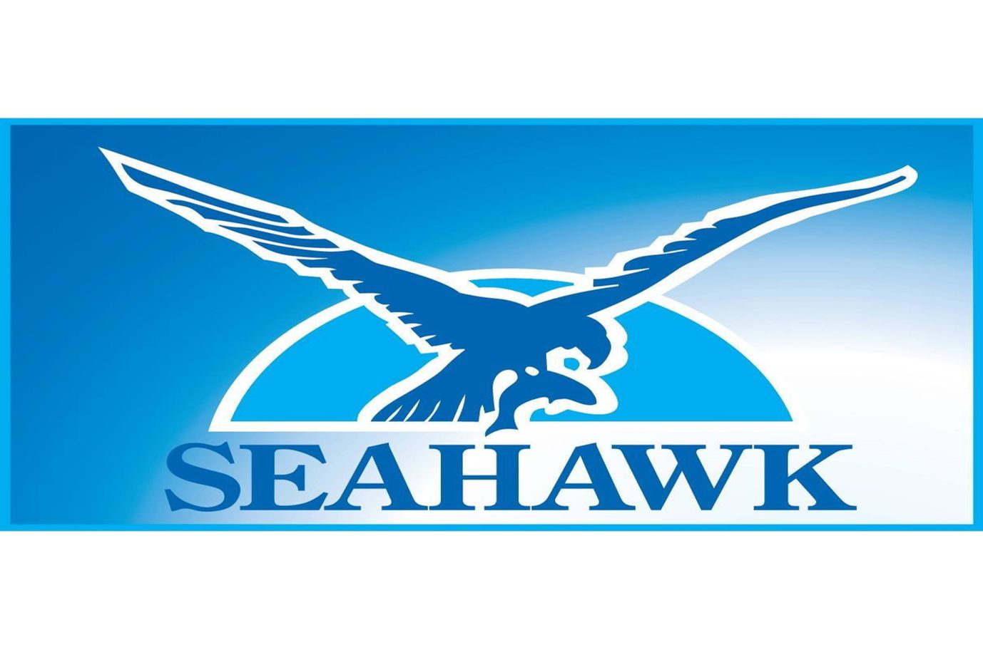 seahawk logo