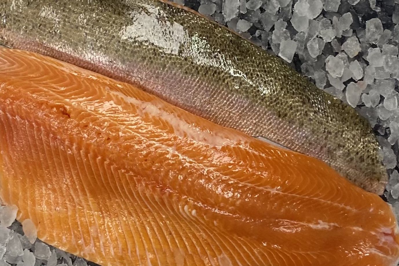 trout side