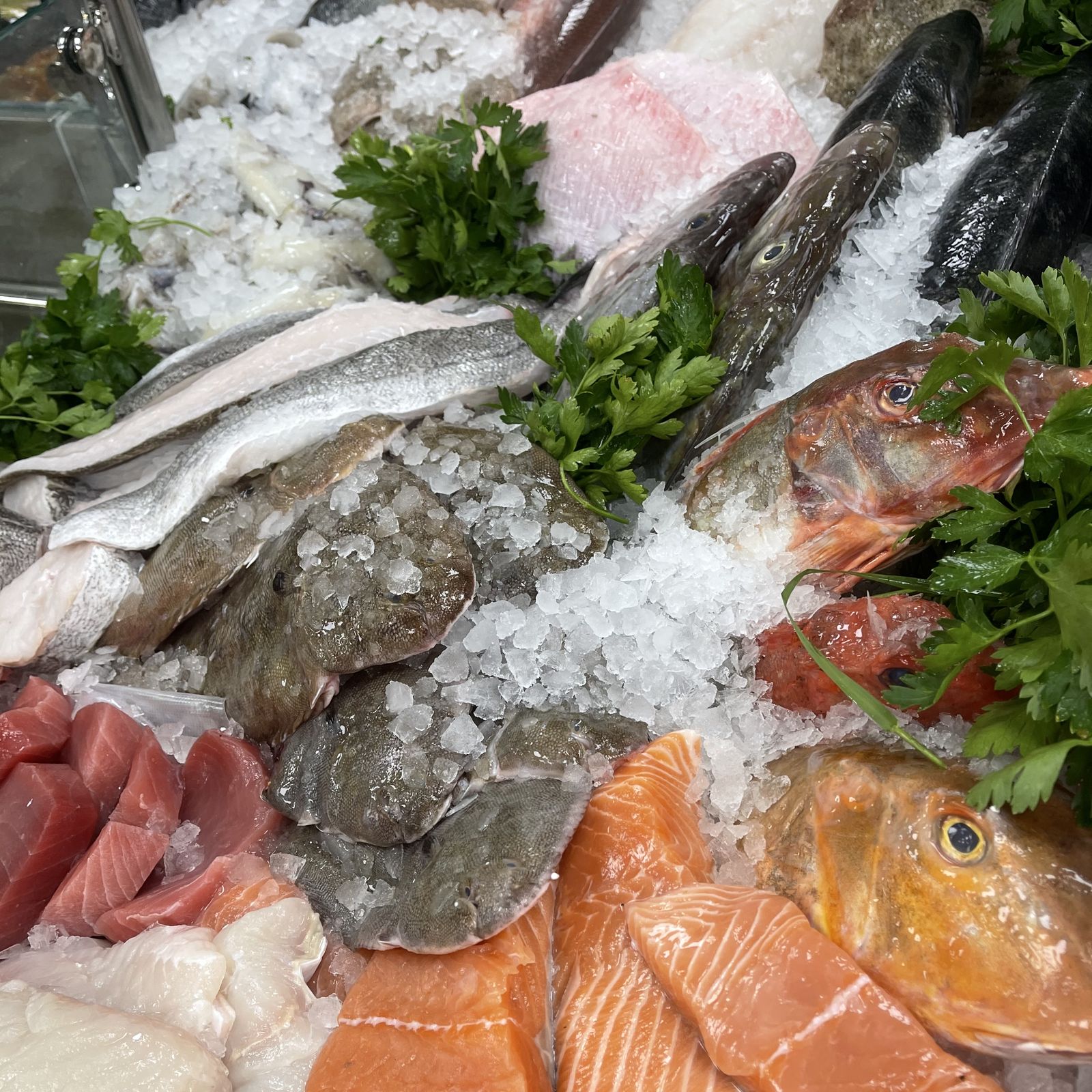 Fresh Fish