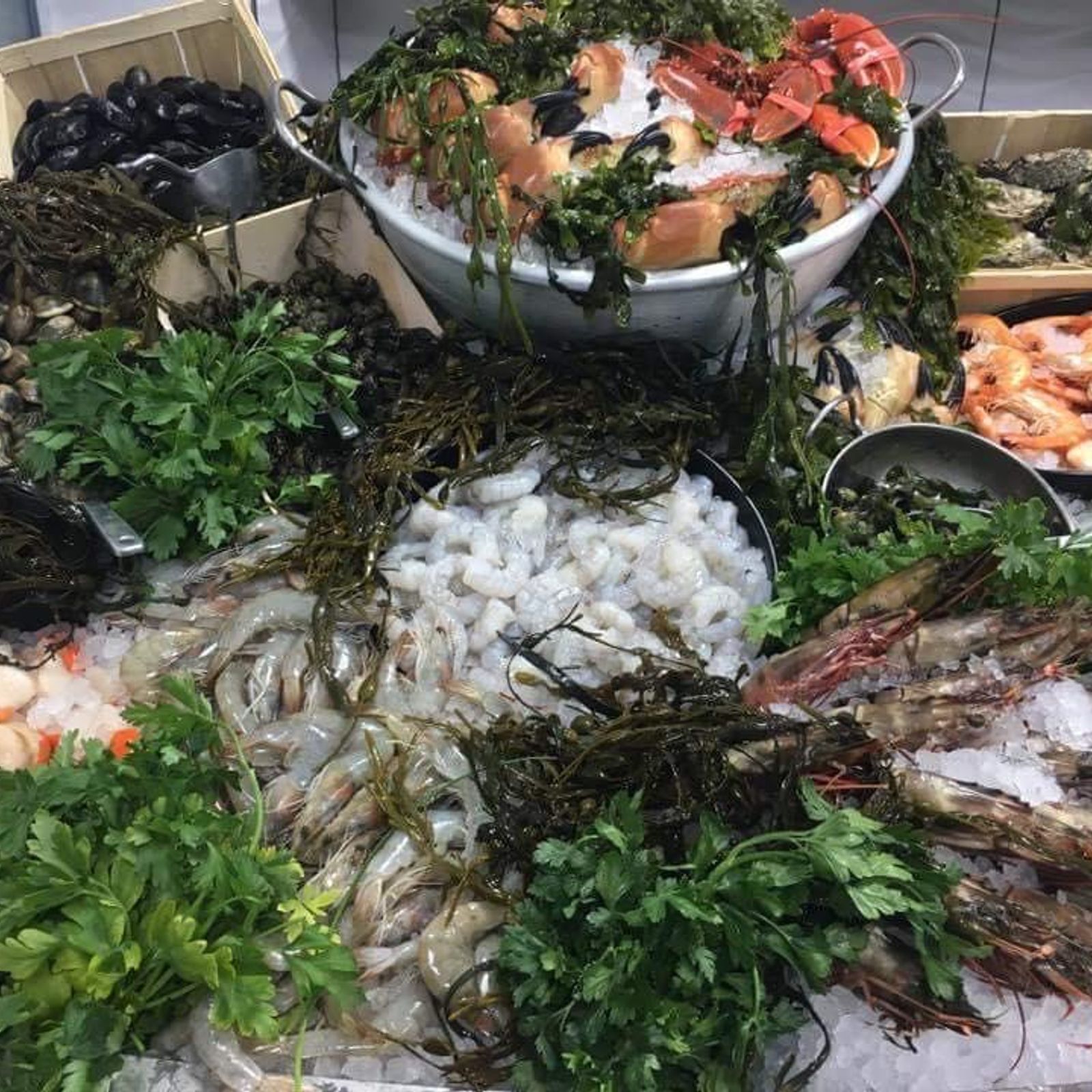 Shellfish