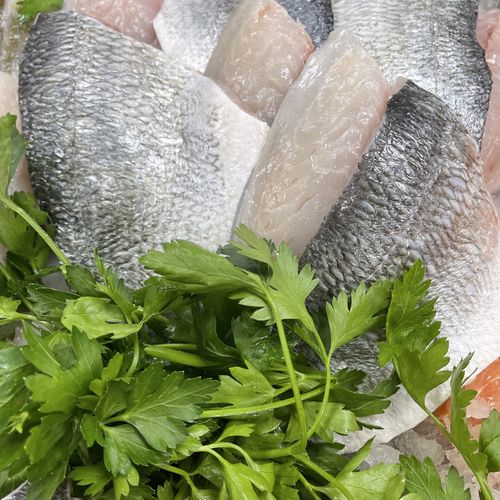 Bream Fillets (farmed)
