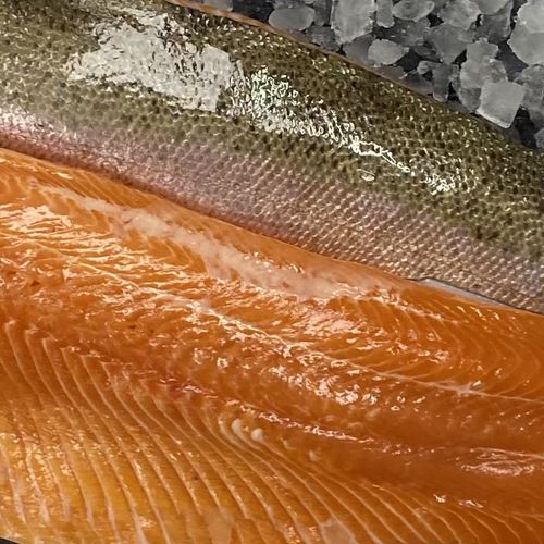ChalkStream Trout Fillets