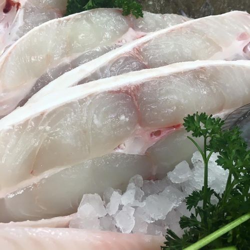 Halibut Steak