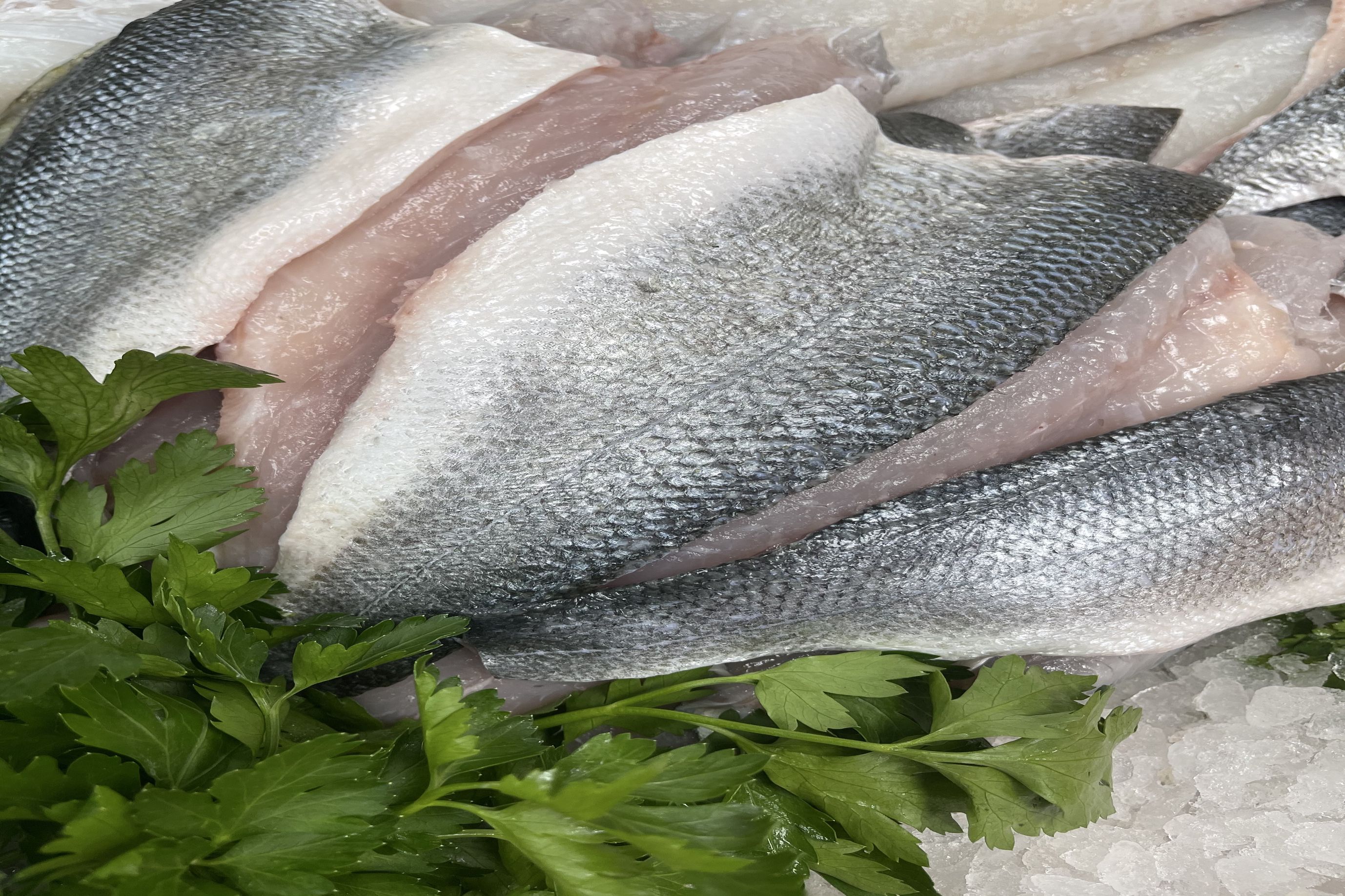 Bass Fillets (Farmed)