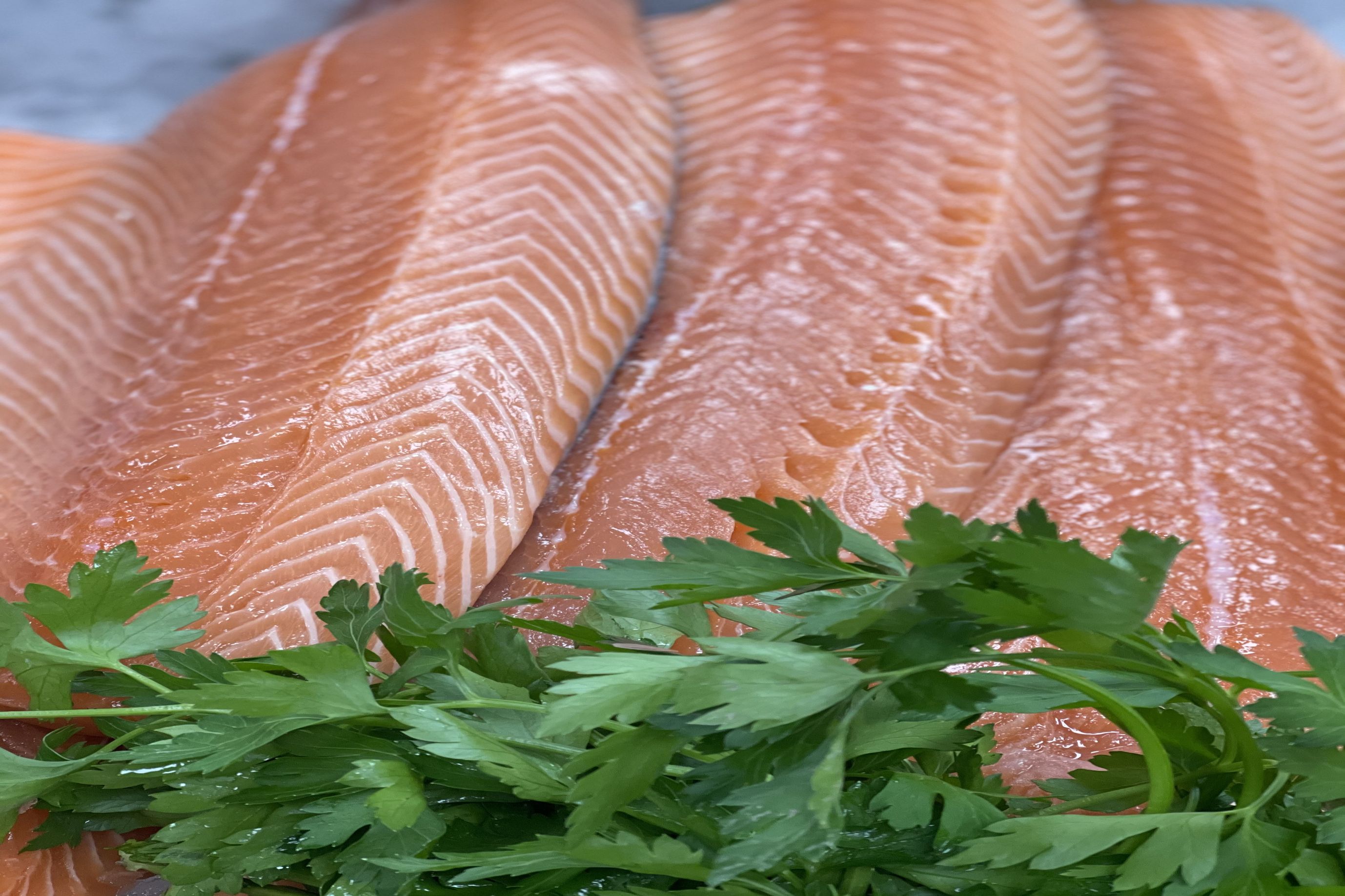 WesterRoss Salmon