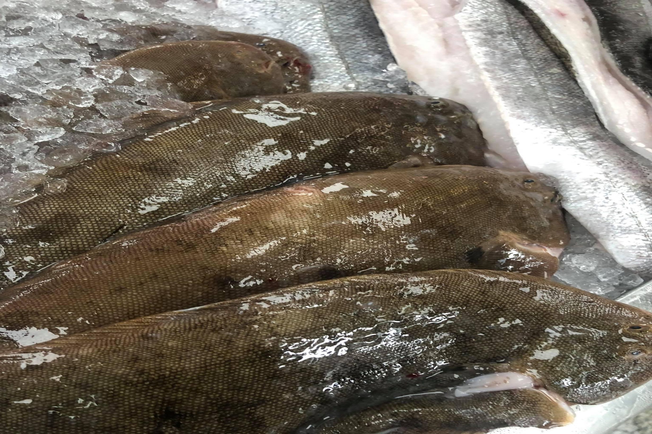 Dover Sole