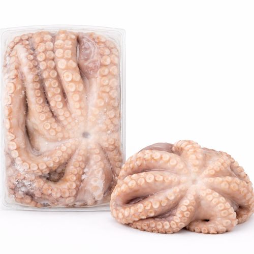 Large Frozen Octopus