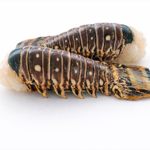 Lobster Tail