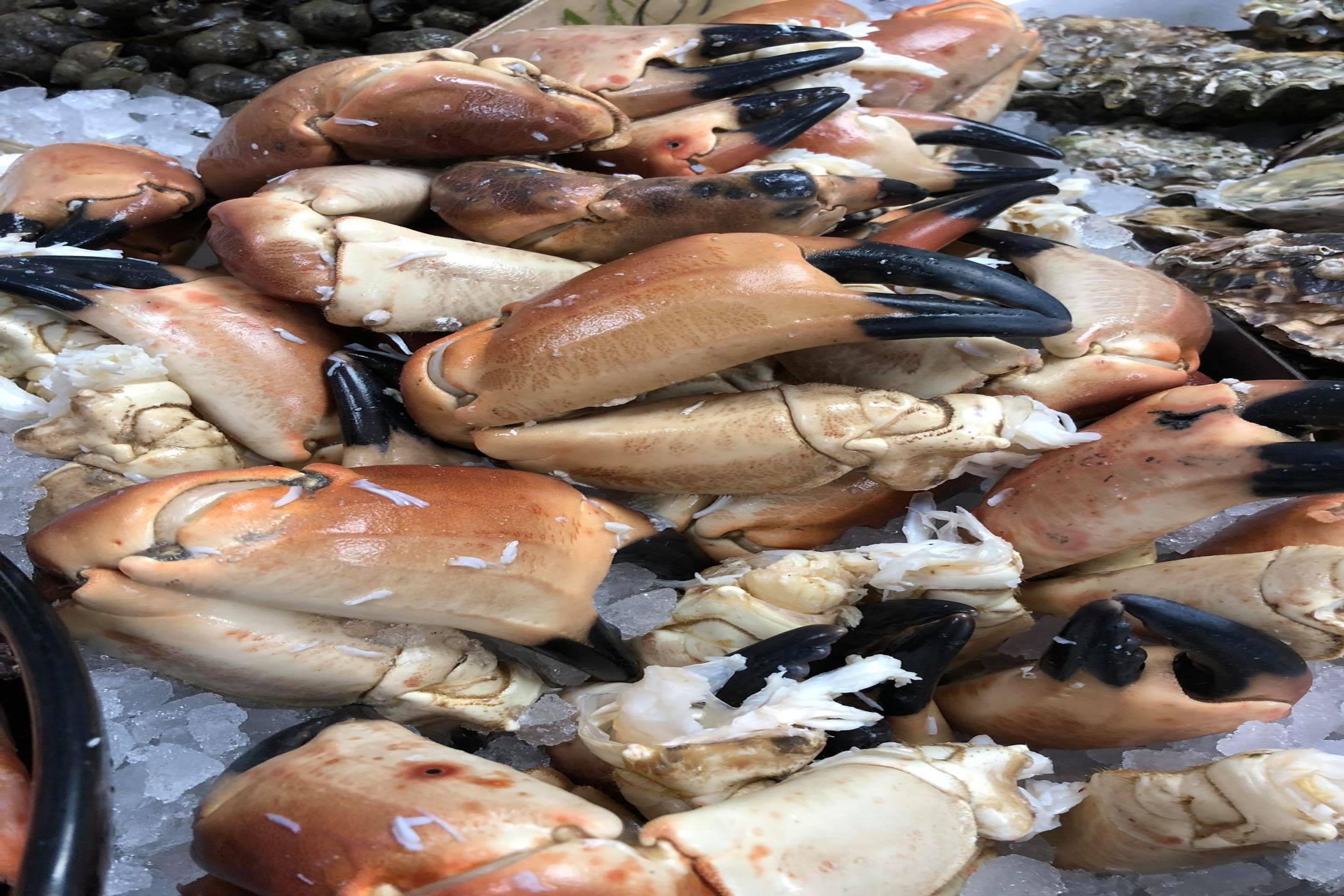 Crab Claws