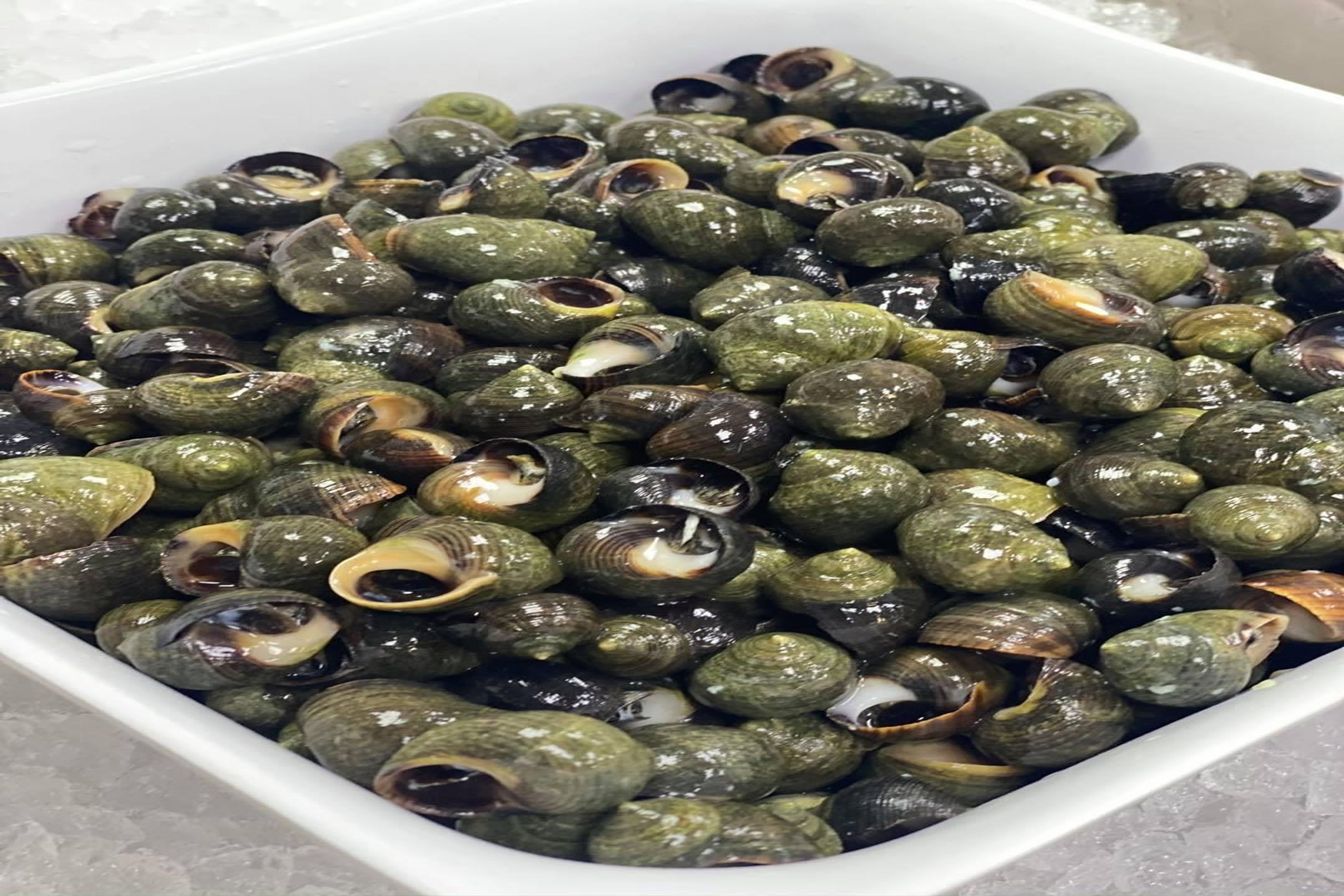 Live Winkles