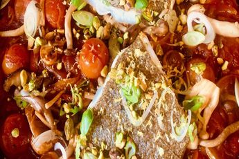 Brill with Vine Tomato Ragu