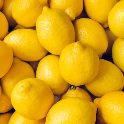 Fresh Lemons