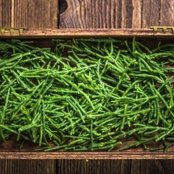 Samphire