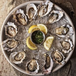 Oysters!