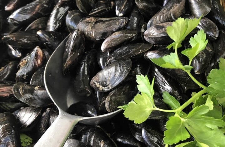 mussels asset