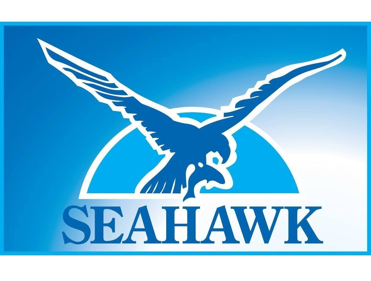 seahawk logo