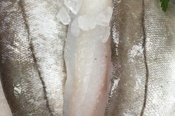 Haddock Fillet