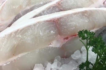 Halibut Steak