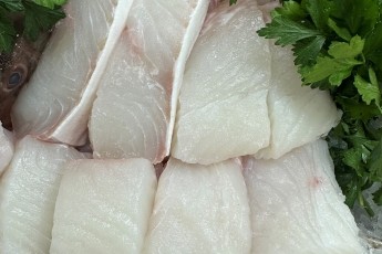 Halibut Fillet