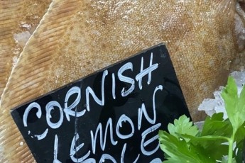 Lemon Sole