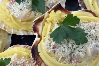 Coquille St Jacques