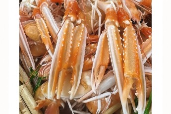 Langoustines