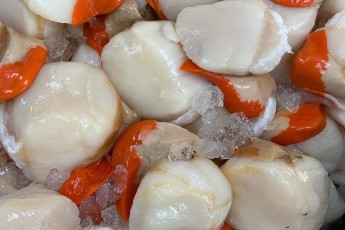 Christmas Scallops