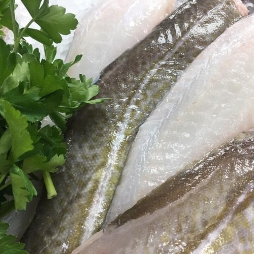 Cod Fillets