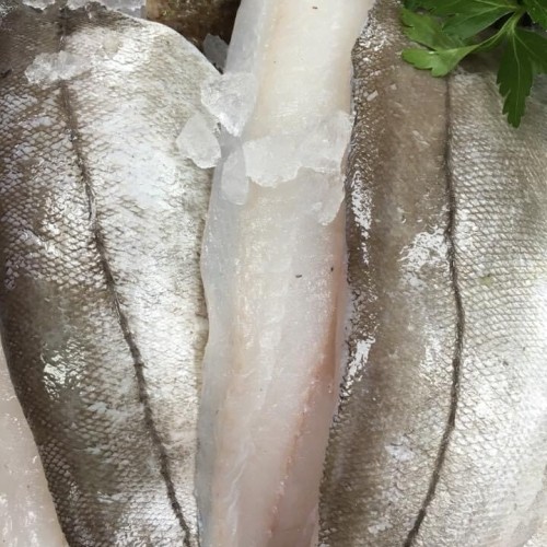 Haddock Fillet