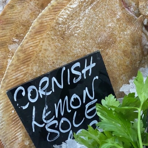 Lemon Sole