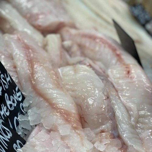 Monkfish Fillet