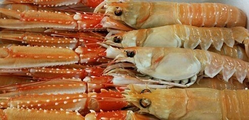 Whole Langoustine FROZEN