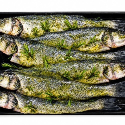 Oven Ready Sharing Bass
