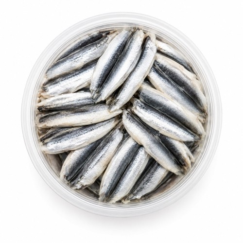 Anchovies in Oil