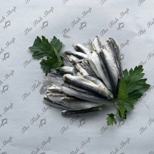 Anchovies in Oil