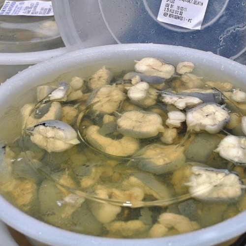 Jellied Eels