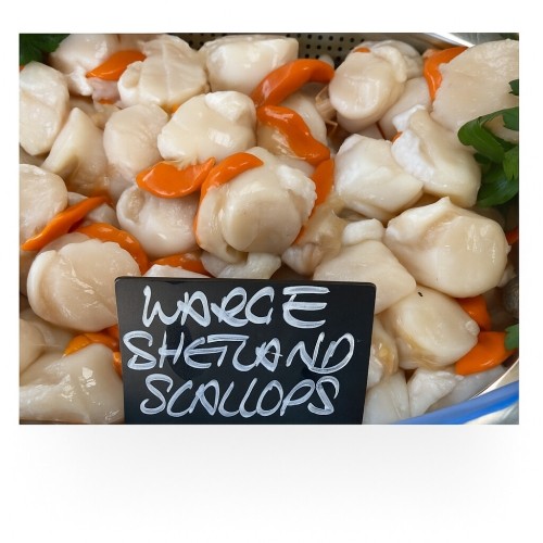 Shetland Scallops