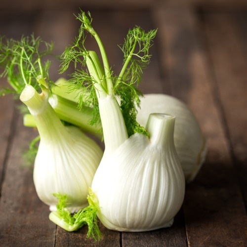 Fennel