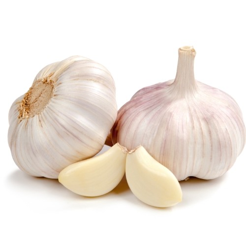 Large Garlic