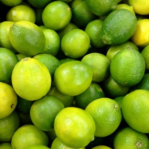 Limes