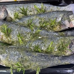 Oven Ready Sharing Bass