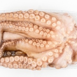 Large Frozen Octopus