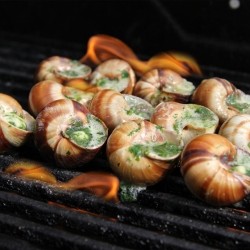 Snails in Garlic Butter