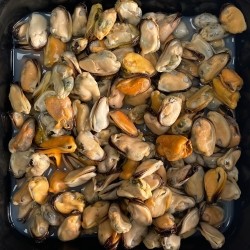 Cooked Mussels