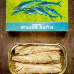 Bay Mackerel in Olive Oil