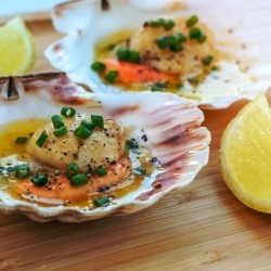 Shetland Scallops